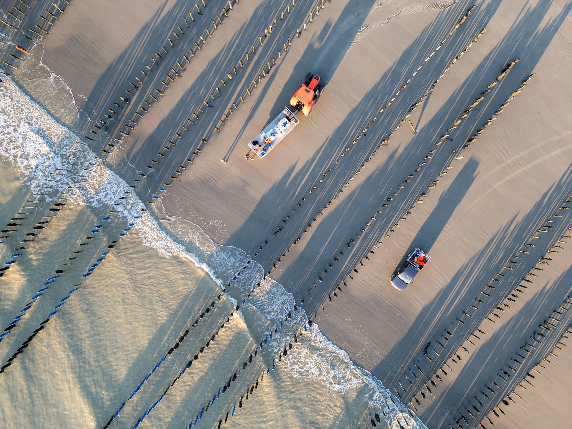 Olivier LECLERCQ - Hemis - Sainte-Cécile